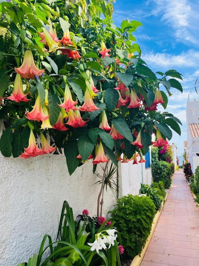 Acogedor Loft En Recinto Privado - Terapia Salada Estepona